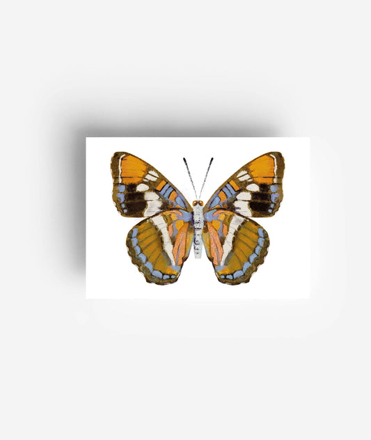 Butterfly Postcard Set (12 Cards)