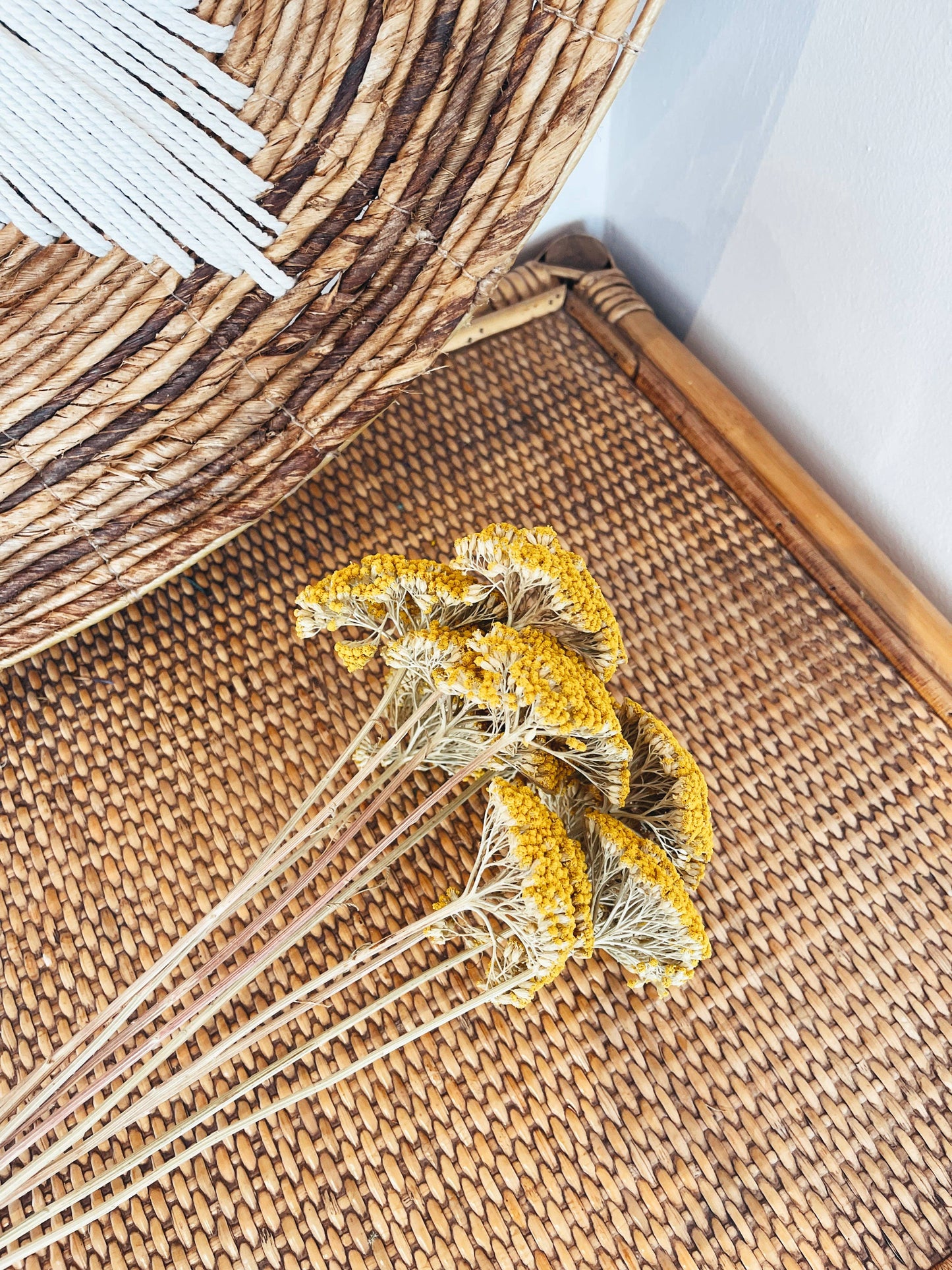 Achillea Parker Yellow Dried Flowers