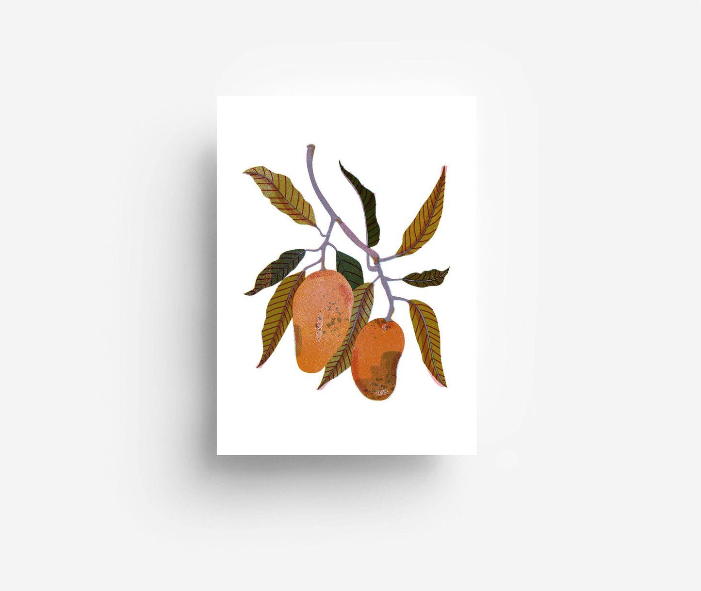 Fruits Postcard Set (12 Cards)