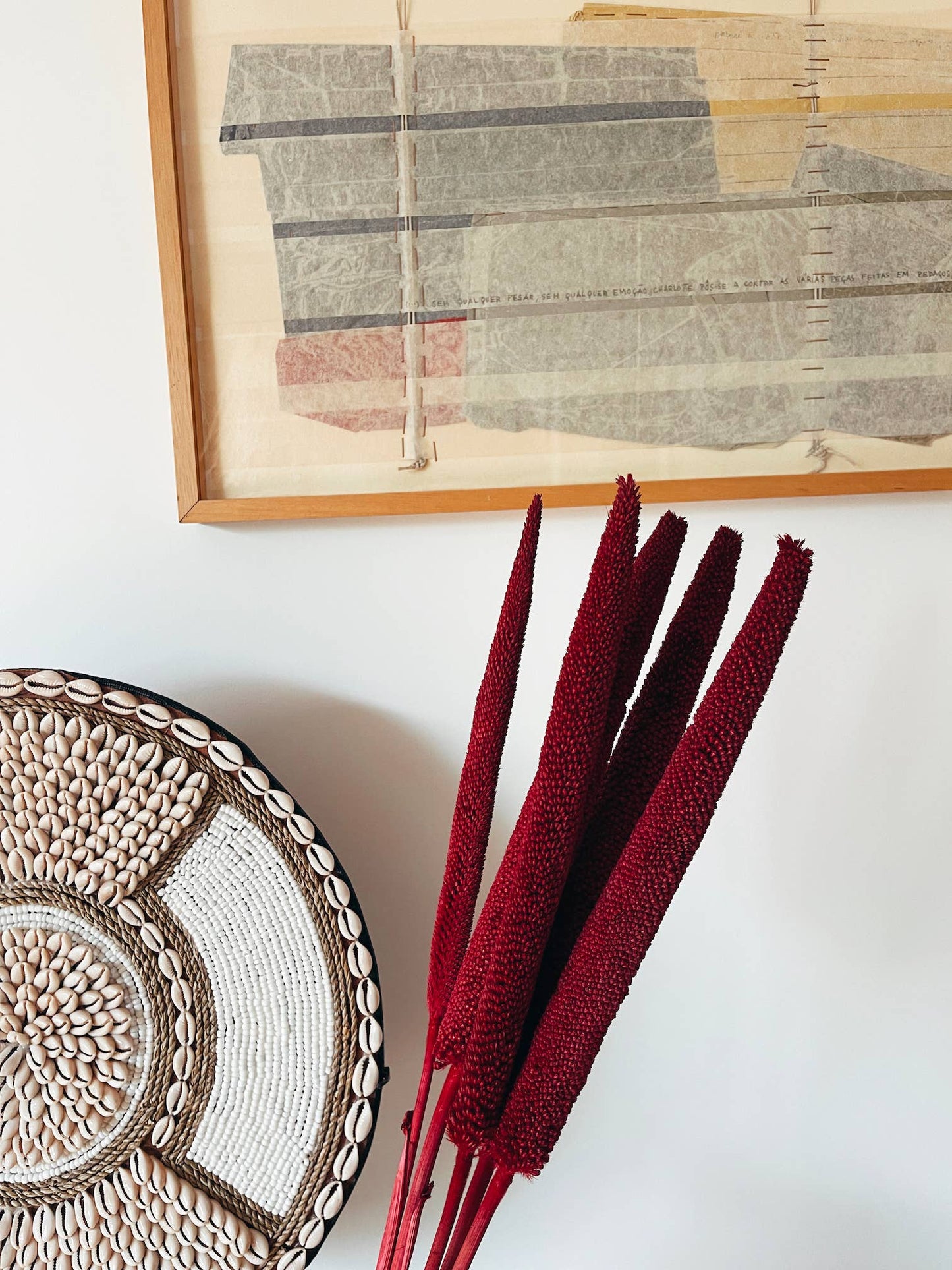 Babala Bordeaux Dried Flowers