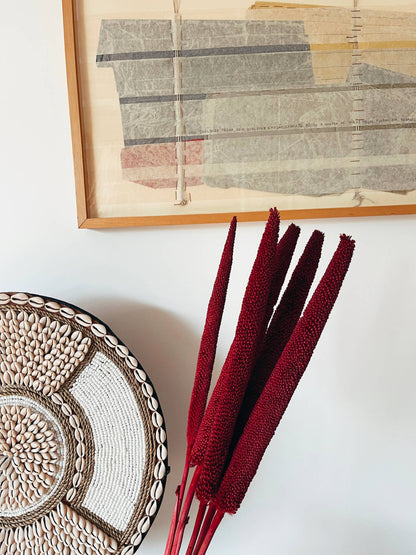 Babala Bordeaux Dried Flowers