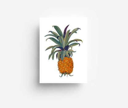 Fruits Postcard Set (12 Cards)