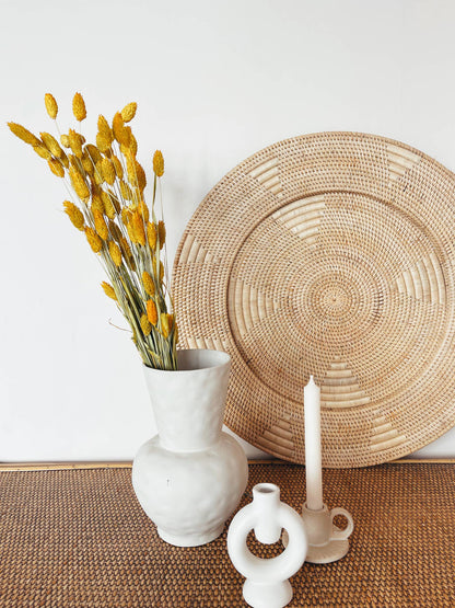 Phalaris Yellow Dried Flowers